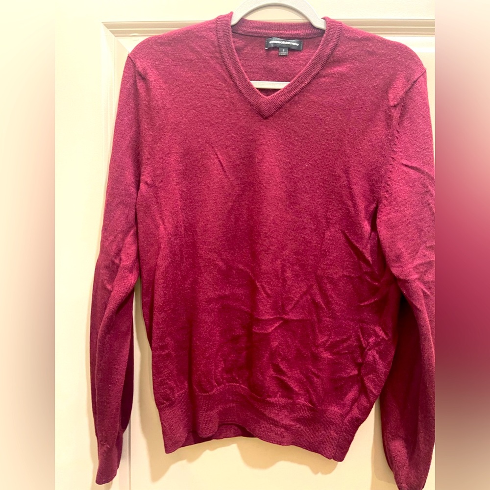 Burgundy/Maroon Men’s Express V-neck Merino Wool Sweater